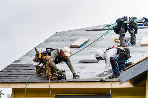 Professional Storm Damage Roof Repair technician working in North Norwich, NY
